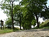 DSCN5594.jpg DSCN5594.jpg